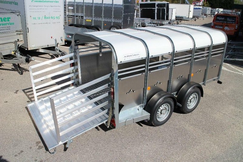 Ifor Williams Pferdeanhänger TA5 311x155x115 cm, SW10827 - Image 3